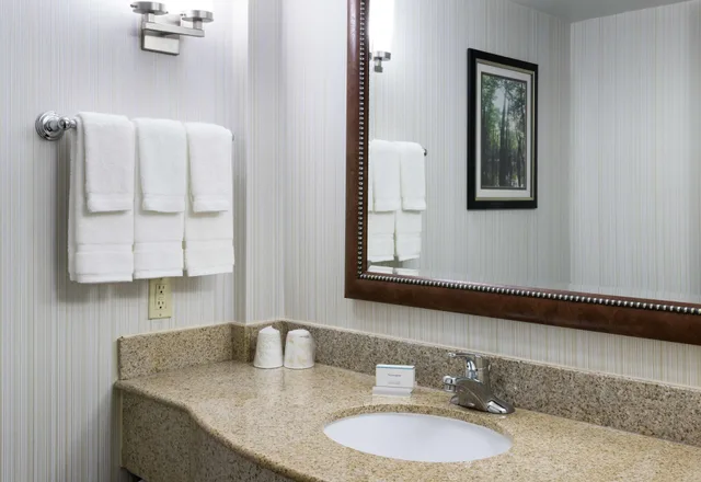 Hospitality, Suite, King Bed, Sofa، Hilton Garden Inn Lafayette Cajundome 4/5