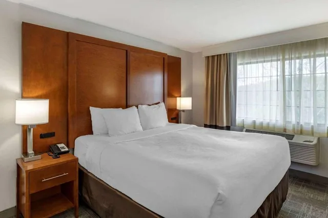 Suite, King Bed, Sofa, Comfort Suites At Evergreen Parkway 6/10
