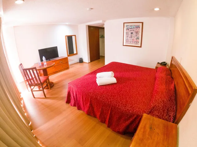 غرفة قياسية بسرير مزدوج، SAN FRANCISCO CENTRO HISTORICO HOTEL 6/10