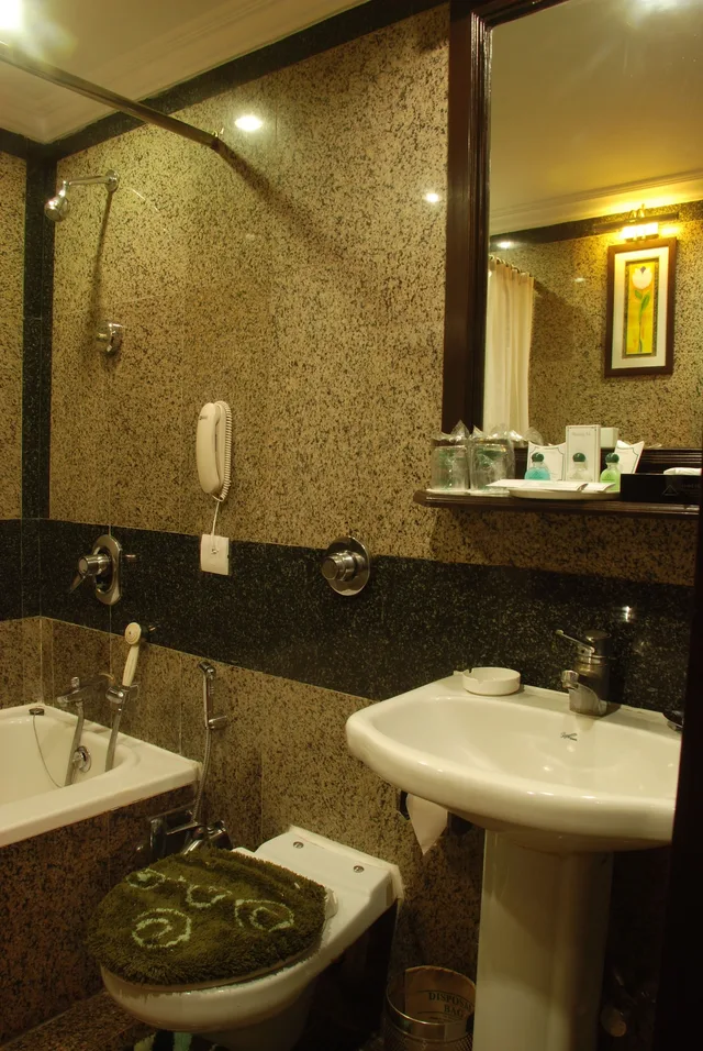 غرفة ديلوكس بسرير مزدوج، Shanti Palace 6/7