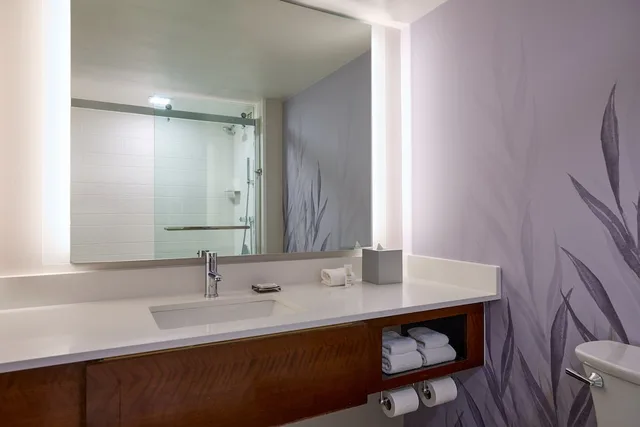 غرفة ديلوكس بسرير كينج، Hanover Marriott 7/8