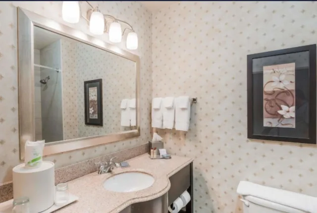 غرفة ديلوكس بسرير كينج لذوي الإعاقة، Wingate by Wyndham New Braunfels 2/2