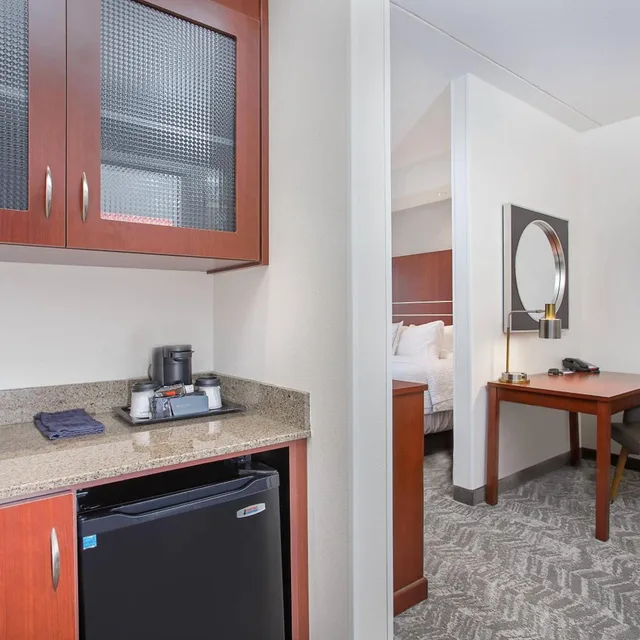 جناح بسرير كينج مع سرير سحّاب إضافي مع أريكة لذوي الإعاقة، Springhill Suites Pigeon Forge 6/6