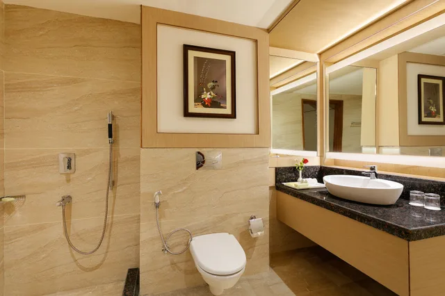 جناح رئاسي بسرير كوين، The Orchid Manali 3/3