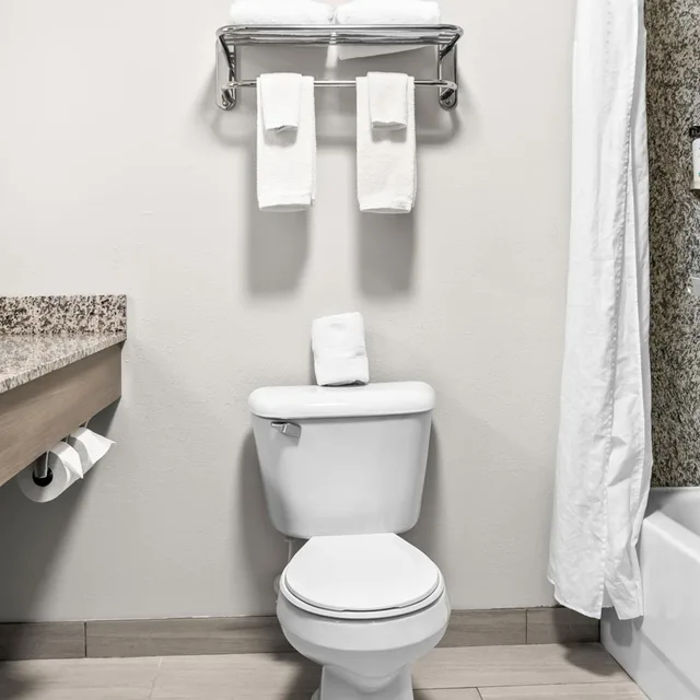 جناح بسريرين، Holiday Inn Express Suites Detroit North Roseville 5/5