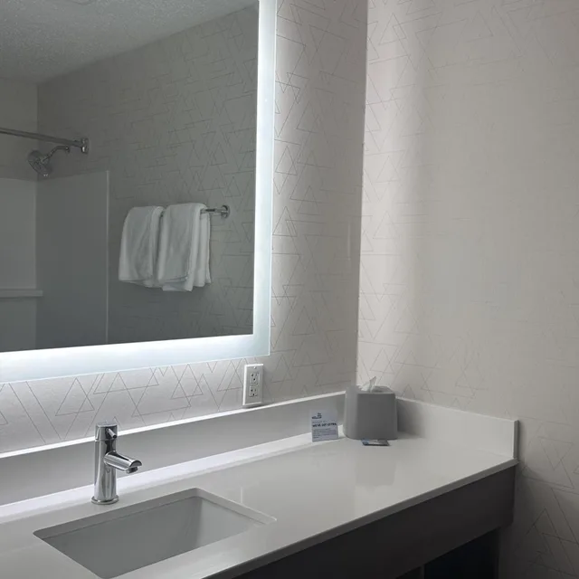 غرفة قياسية، Holiday Inn Express & Suites Southfield - Detroit 1/1