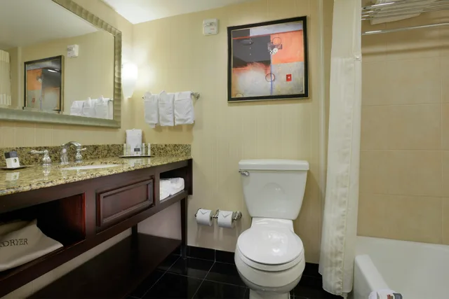 Executive, King Bed, Doubletree By Hilton Hotel Lafayette 2/2