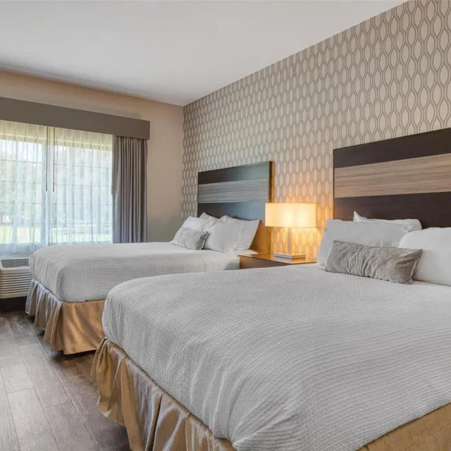 جناح بسريرين كوين لذوي الإعاقة، Best Western Plus Saint Peter 1/4