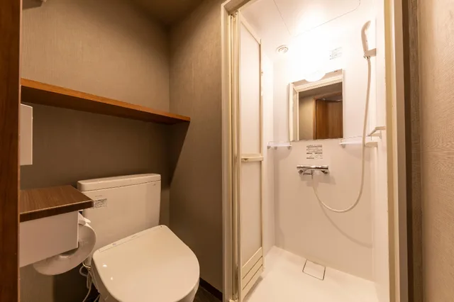 غرفة قياسية مفردة بسرير مزدوج، Dormy Inn Kawasaki Natural Hot Spring 1/1