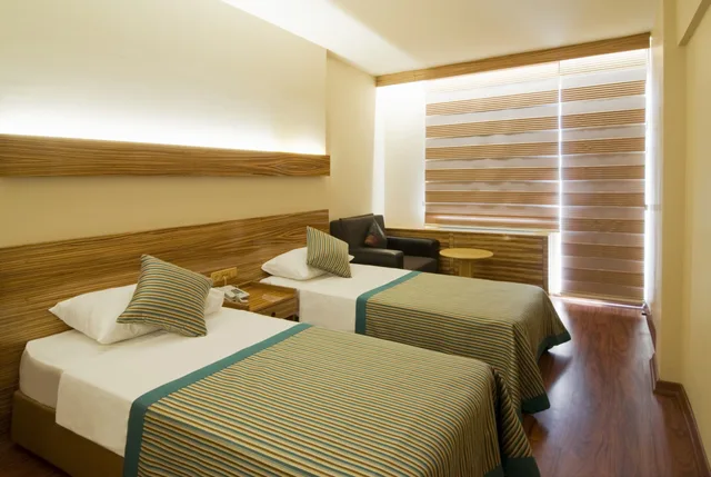 غرفة كومفورت بسريرين منفصلين، Hotel Buyuk Keban 1/1