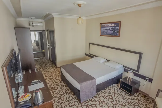 غرفة قياسية مفردة بسرير مزدوج، Teona Otel 9/9