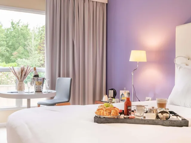 Standard, Double Bed, Mercure Antibes Sophia Antipolis Hotel 7/10