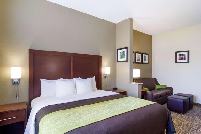 جناح بسرير كينج لذوي الإعاقة، Comfort Inn Blackshear Hwy 84 1/4