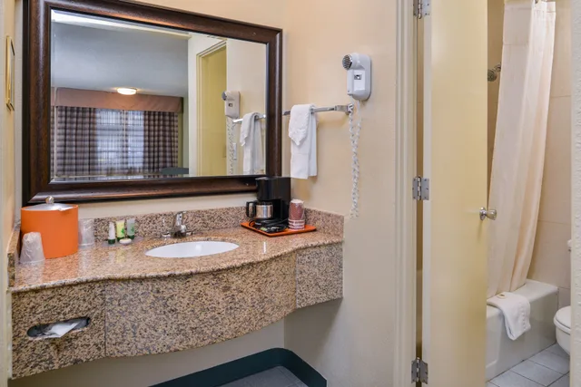 Deluxe, Queen Bed, University Inn Suites 7/7