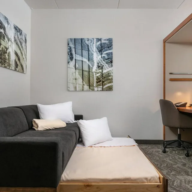استوديو بسرير كينج مع سرير سحّاب إضافي مع أريكة، Springhill Suites Chattanooga Downtown Cameron Harbor 2/6