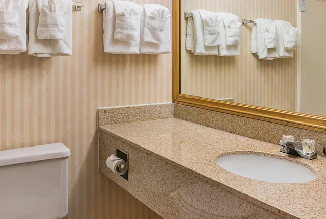 غرفة قياسية بسرير كوين، Quality Inn and Suites Detroit Metro Airport 5/5
