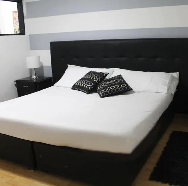 غرفة قياسية بسرير كينج، Hotel Santiago Plaza 3/4