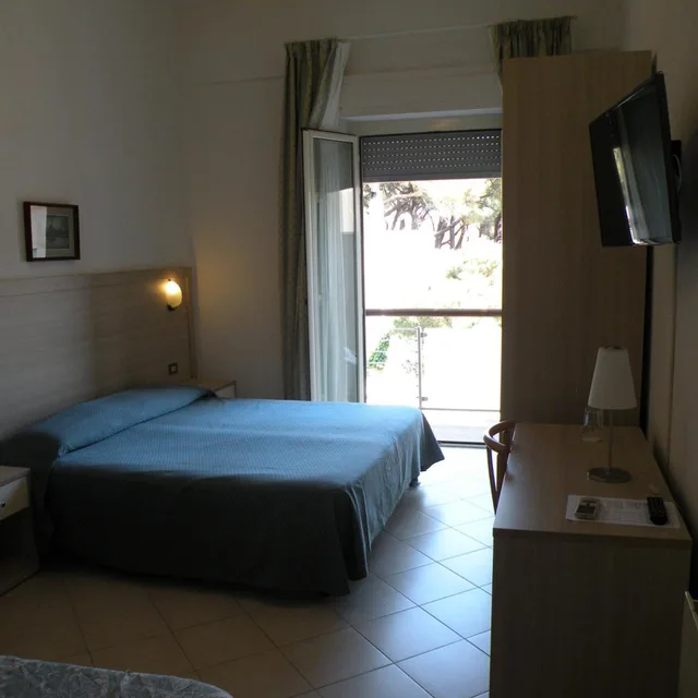 غرفة بسرير مزدوج أو سريرين منفصلين بإطلالة على المدينة، Hotel Parrini 1/10