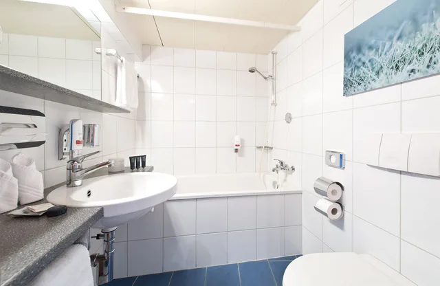 Plus, Superior, Twin Beds, Queen Bed، Leonardo Boutique Hotel Rigihof Zurich 9/10