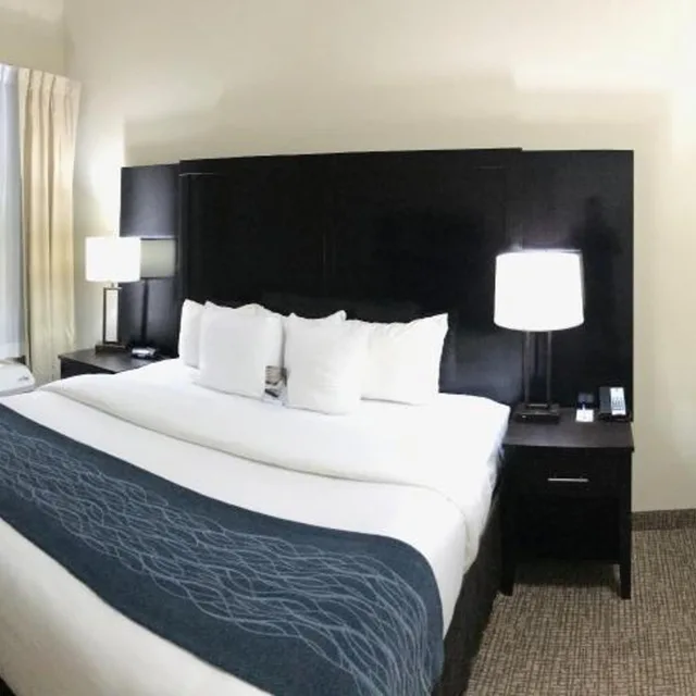 جناح بسرير كينج بجاكوزي لذوي الإعاقة، Comfort Inn & Suites Atlanta/Smyrna 4/7