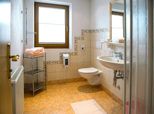 جناح جونيور بسرير كينج مع أريكة، Hotel Schneeberger 5/5