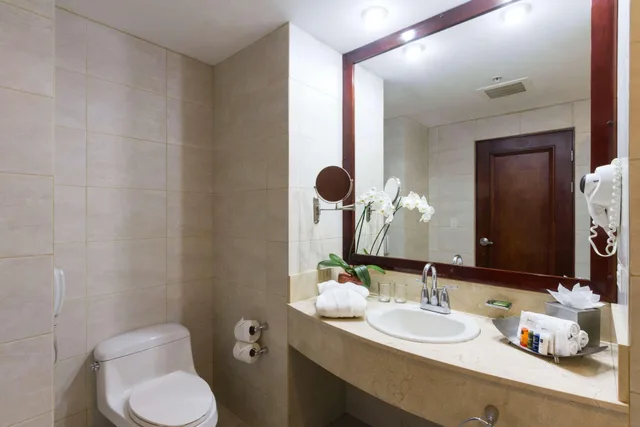 غرفة بسرير مزدوج، Radisson San Jose-Costa Rica 3/3