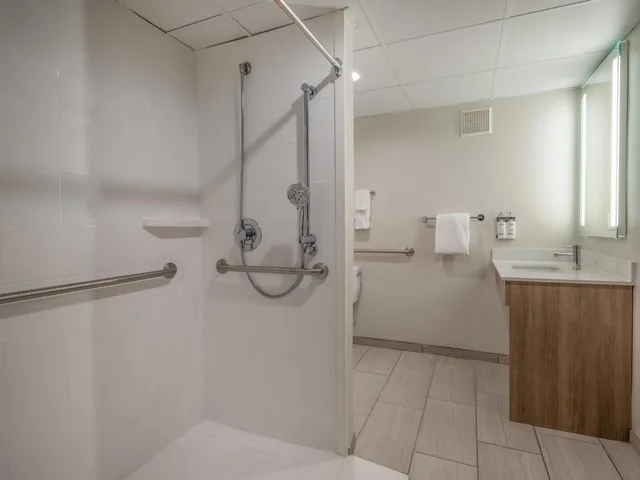 جناح استوديو بسرير كينج مع أريكة لذوي الإعاقة، Holiday Inn Express & Suites Greensboro - (I-40 @ Wendover) 4/4