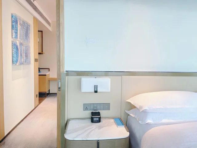 جناح بريميير بسرير كينج بإطلالة على البحيرة بغرفة نوم واحدة، Four Points by Sheraton Wuhan, Jiangxia 8/8