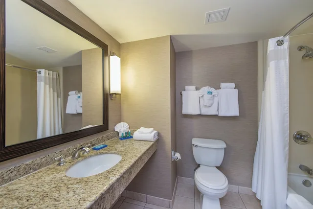 غرفة قياسية بسرير كينج، Holiday Inn Express Hotel And Suites Auburn 7/7