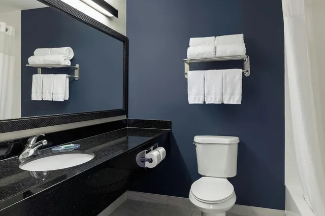 غرفة بسرير كينج مع أريكة لذوي الإعاقة، Fairfield Inn And Suites Minneapolis St Paul Roseville 1/1