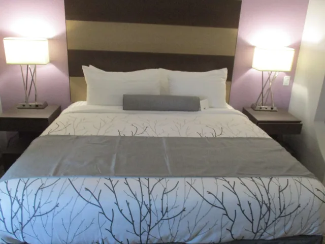 غرفة قياسية بسرير كينج بمطبخ صغير، Best Western Plus Buda Austin Inn and Suites 5/8