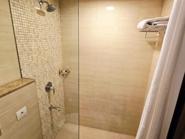 غرفة تنفيذية مفردة، Shervani Nehru Palace Hotel 3/3
