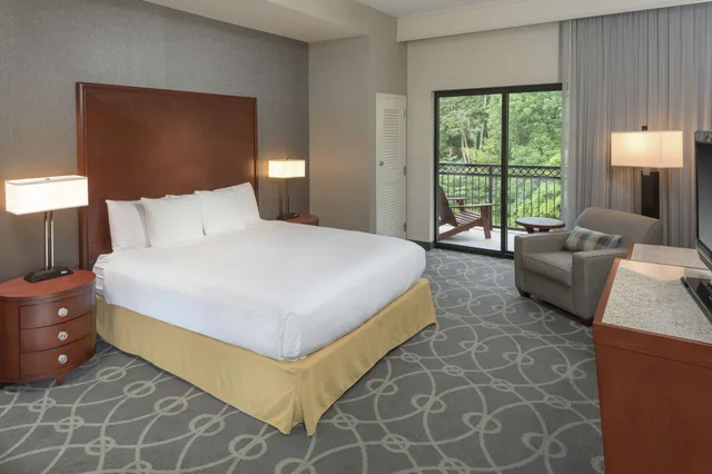 غرفة بسرير كينج بشرفة، DoubleTree by Hilton Hotel Asheville Biltmore 1/3