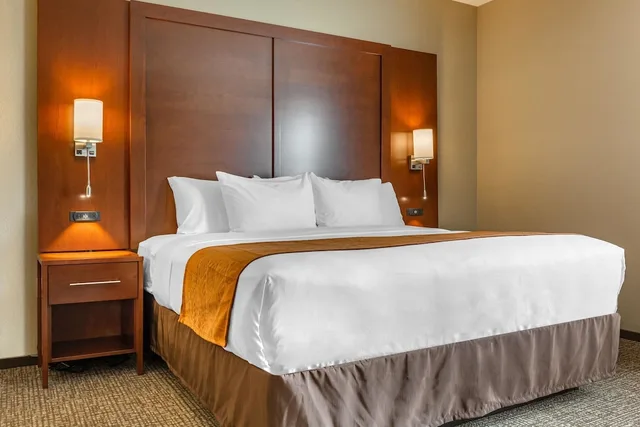 جناح بسرير كينج لذوي الإعاقة، Comfort Inn & Suites Boise Airport 2/5