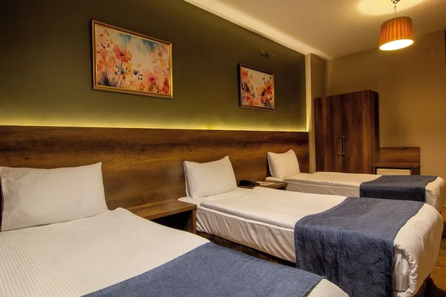 جناح ديلوكس بسرير مزدوج، Baykara Hotel 2/9