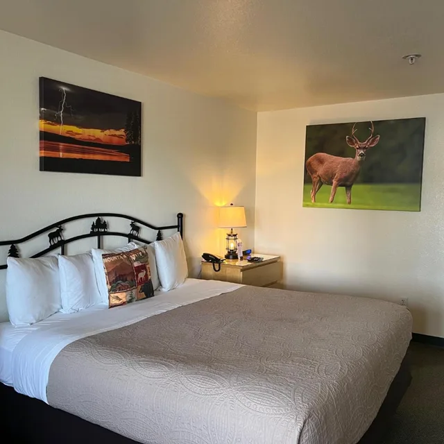 غرفة بسرير كينج، Antlers Inn 1/2