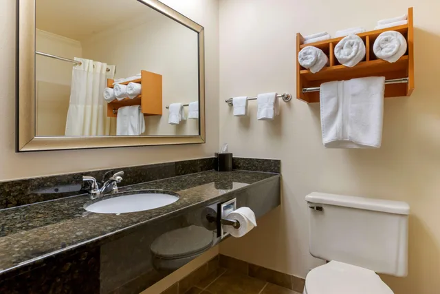 غرفة قياسية بسرير كوين، Best Western Davison Inn 6/7