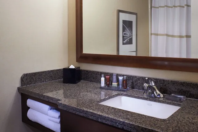 جناح جونيور بسرير كينج بإطلالة على النهر بغرفة نوم واحدة مع أريكة، Marriott Detroit At the Renaissance Center 2/2