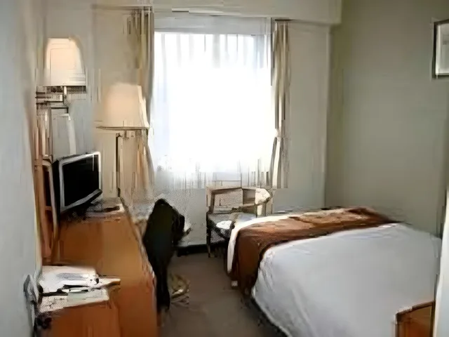 Semi Room, Deluxe, Single, Semi Double Bed, Smoking، Toyooka Sky Hotel 1/2