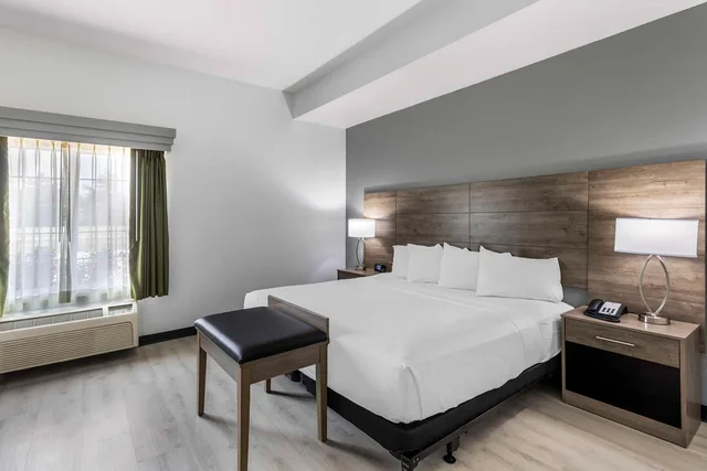 جناح بسرير كينج مع أريكة لذوي الإعاقة، Best Western Plus MidAmerica Hotel 1/3