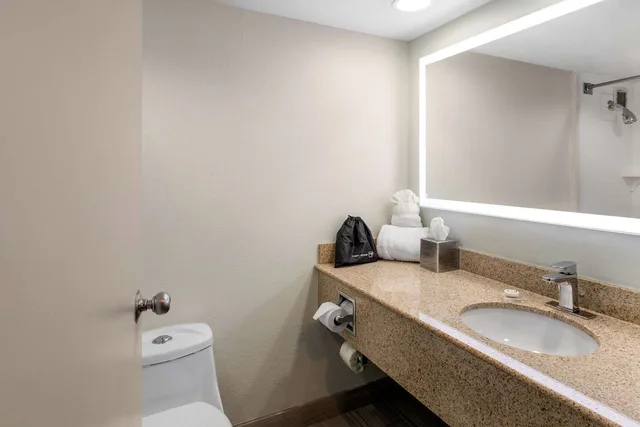 غرفة بسرير كينج، Radisson Hotel Grand Rapids Riverfront 5/5
