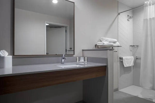 غرفة بسرير كوين بإطلالة على المدينة لذوي الإعاقة، Fairfield Inn Suites Dallas Dfw Airport North Irving 4/4