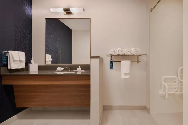 غرفة بسرير كينج بحوض استحمام لذوي الإعاقة، Fairfield Inn And Suites By Marriott Tampa Wesley Chapel 10/10