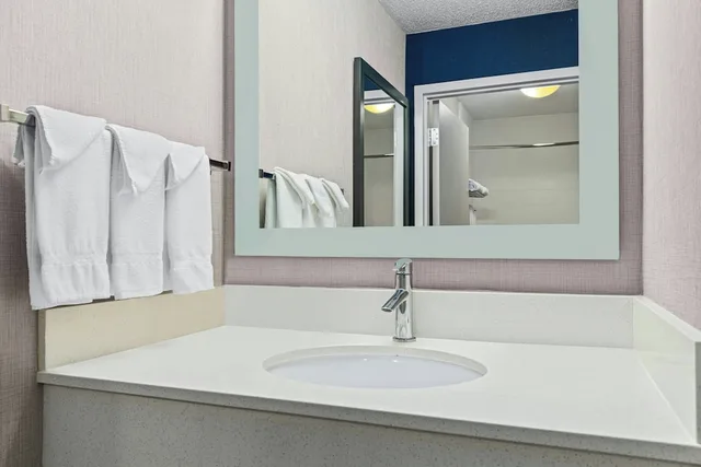 suite, multiple beds، Springhill Suites Minneapolis Eden Prairie 6/9