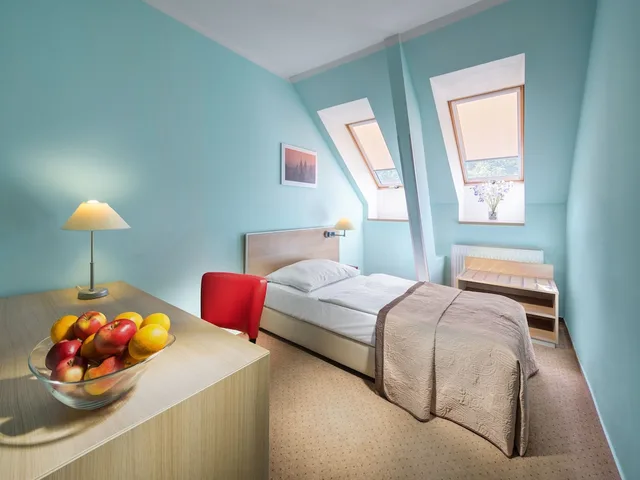 غرفة قياسية مفردة، Hotel Michael 4/5