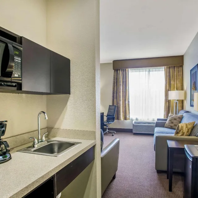 Deluxe, Suite, King Bed, Country Side View، La Quinta Inn and Suites by Wyndham Karnes City - Kenedy 3/3