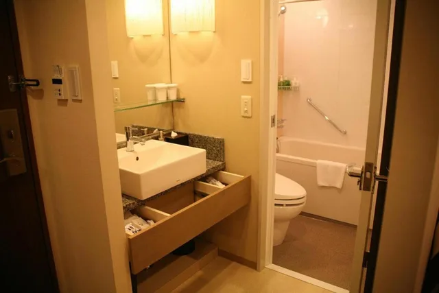 غرفة قياسية بسريرين منفصلين، Hotel Ryumeikan Tokyo 7/8