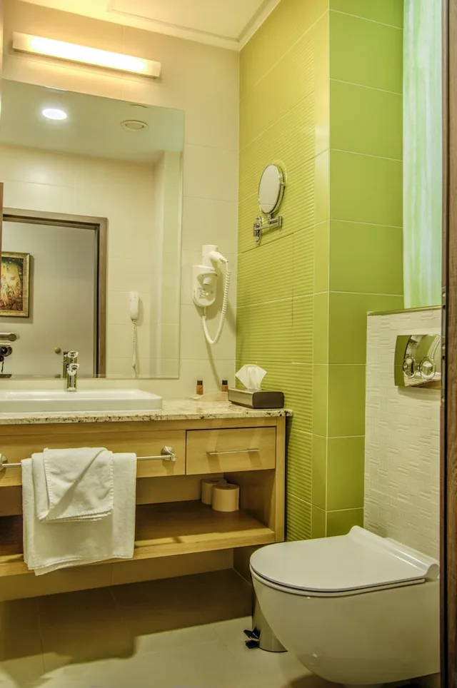 Standard, Single, Holiday Inn Plovdiv 11/11