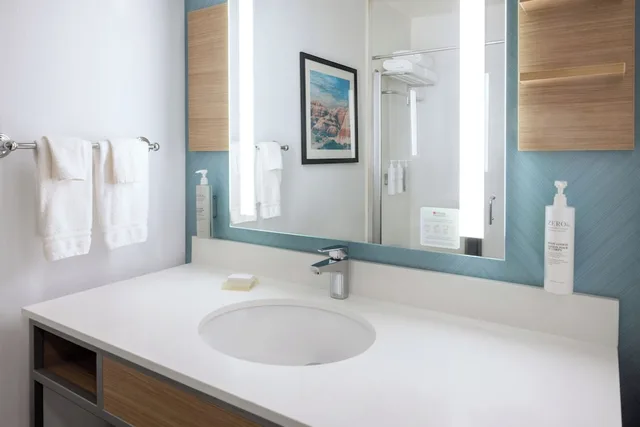 Evolution, King Bed، Hilton Garden Inn Sioux Falls South 4/5