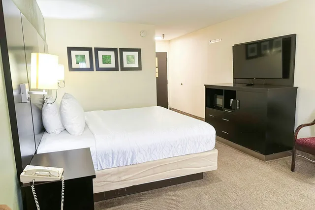 Room, King Bed, OYO Hotel Rome West GA 3/8